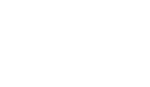 Profesionalismo